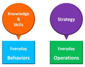 Knowledge & Skills Knowledge & Skills